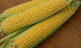 玉米视频,探索农业科技新篇章